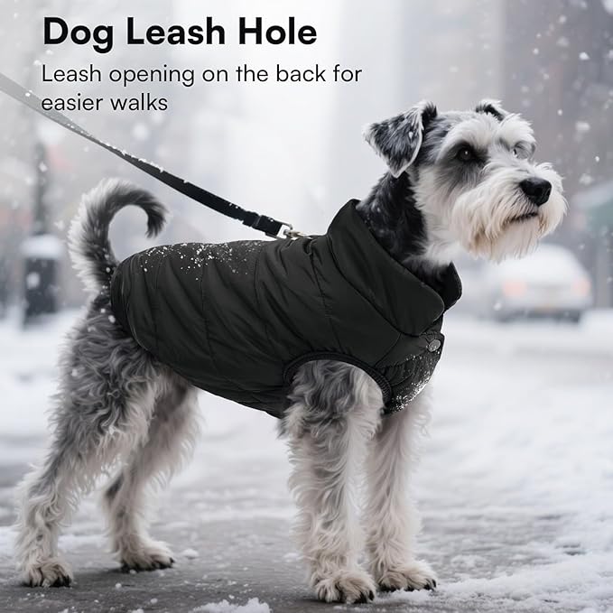 ASENKU Windproof Dog Winter Coat Waterproof Fleece Jacket Cold Weather Pet Apparel for Small Medium Large Dogs (Black, 2XL)