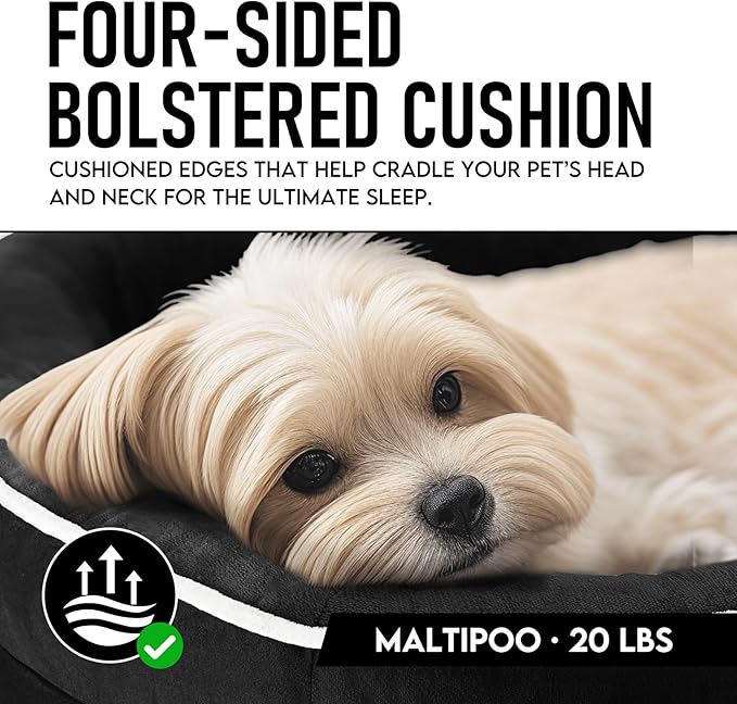 OhGeni Orthopedic Dog Couch Pet Sofa Medium Sized Cat Beds with Comfort Foam Support, Soft Comfortable Fabric, Machine Washable Waterproof Removable Cover, 28-Inch (Black)