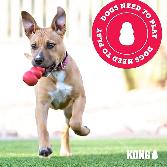 KONG Classic Stuffable Dog Toy - Fetch & Chew Toy for Dogs - Treat-Filling Capabilities & Erratic Bounce for Extended Play Time - Durable Natural Rubber Material - for Extra Large Dogs (Pack of 2)