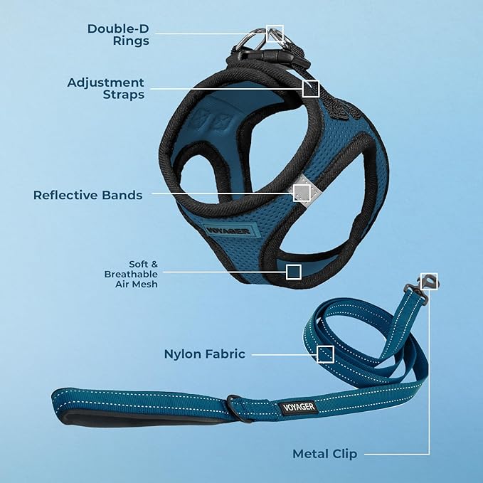 Voyager Step-in Air All Weather Mesh Harness and Reflective Dog 5 ft Leash Combo with Neoprene Handle, for Small, Medium and Large Breed Puppies by Best Pet Supplies - Blue/Black Trim, Medium