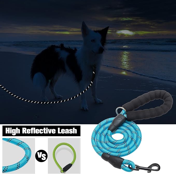 BEAUTYZOO Heavy Duty Rope Dog Leash 6 Pack, 6FT Nylon Pet Leash with Reflective Thread, Soft Padded Handle Thick Lead Leash for Large Medium Dogs Small Puppy,3/8inch X 5 FT (18~120 lbs)