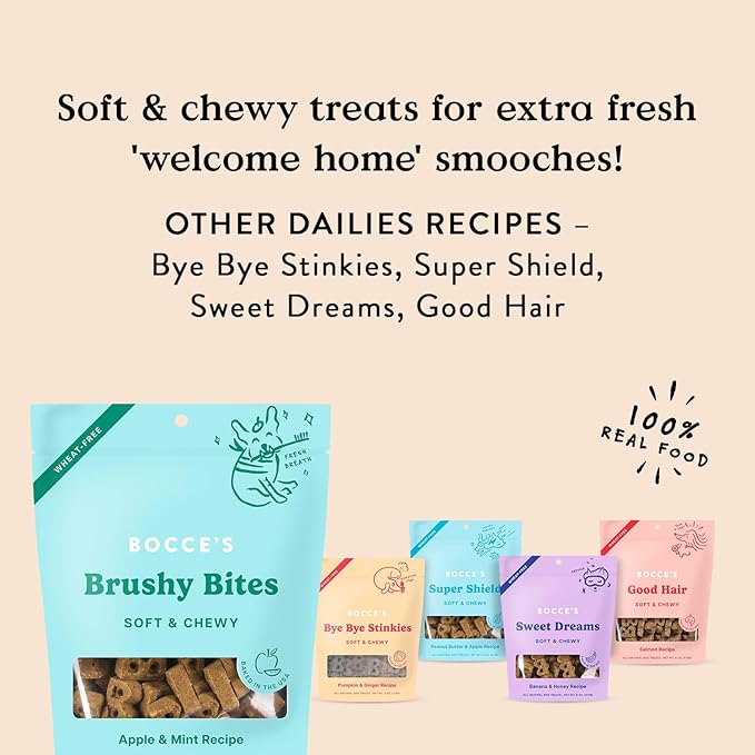 Bocce's Bakery Dailies Brushy Bites Dog Treats for Wellness Support, Wheat-Free Dog Treats, Made with Real Ingredients, Baked in The USA, All-Natural Soft & Chewy, Apple & Mint Recipe, 6 oz