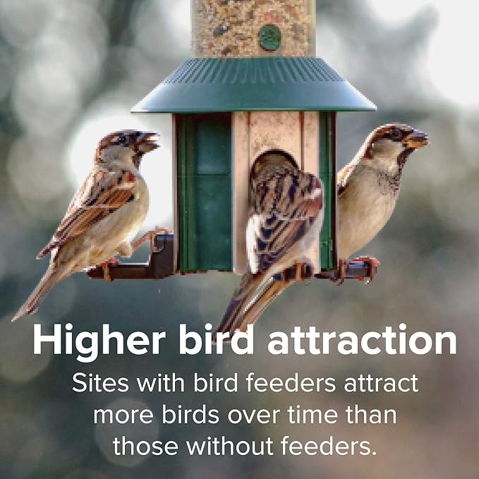 Blue Seal Premium Finch Mix Wild Bird Seed - Specialty Blend to Attract Finches - 8lb Bag