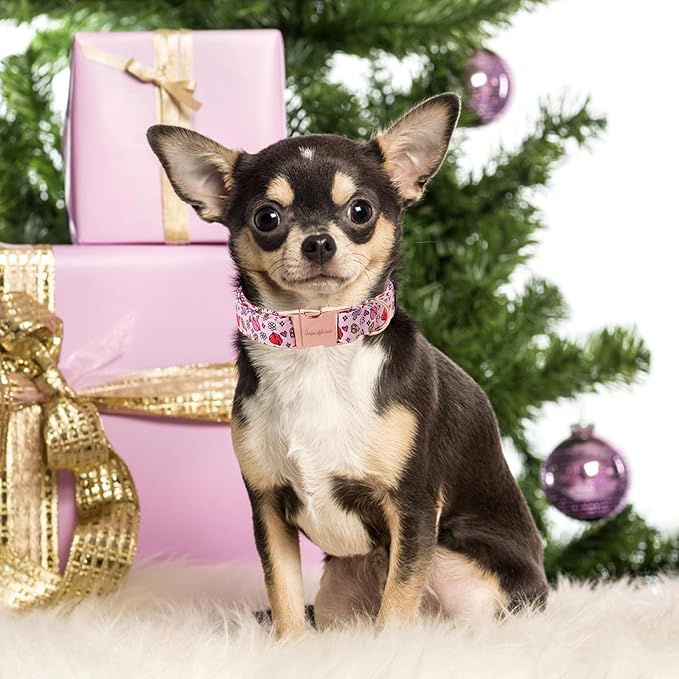 Unique style paws Valentine's Dog Collar Metal Buckle Puppy Collar XO Red Lips for Small Medium Large Boys Girls Dogs Wedding