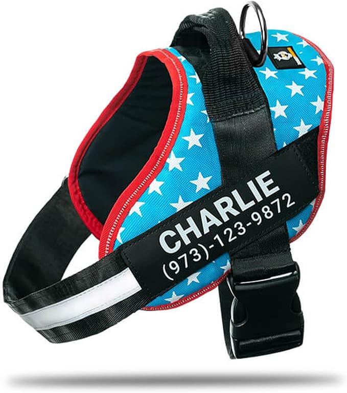 Personalized No-Pull Dog Harness with Name Patch, Adjustable, Reflective, Padded, Heavy Duty Pet Vest to Prevent Tugging, Pulling, or Choking, Training and Walking, Light Blue, XS