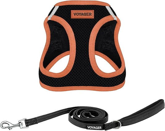 Voyager Step-in Air All Weather Mesh Harness and Reflective Dog 5 ft Leash Combo with Neoprene Handle, for Small, Medium and Large Breed Puppies by Best Pet Supplies - Black/Orange Trim, Small
