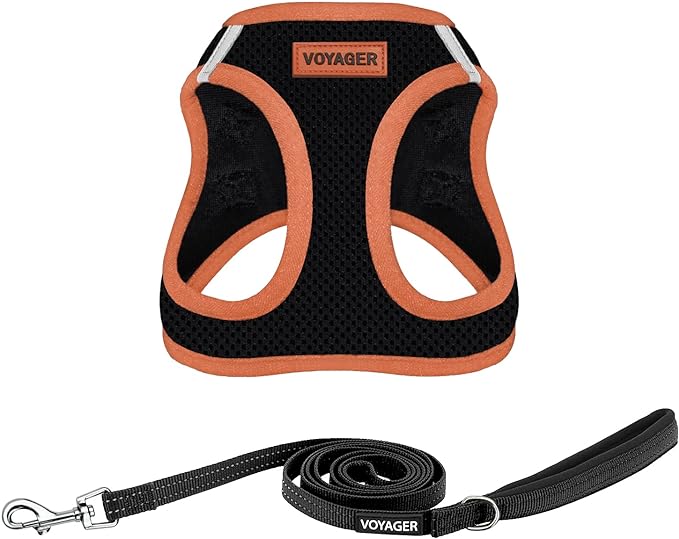 Voyager Step-in Air All Weather Mesh Harness and Reflective Dog 5 ft Leash Combo with Neoprene Handle, for Small, Medium and Large Breed Puppies by Best Pet Supplies - Black/Orange Trim, Large