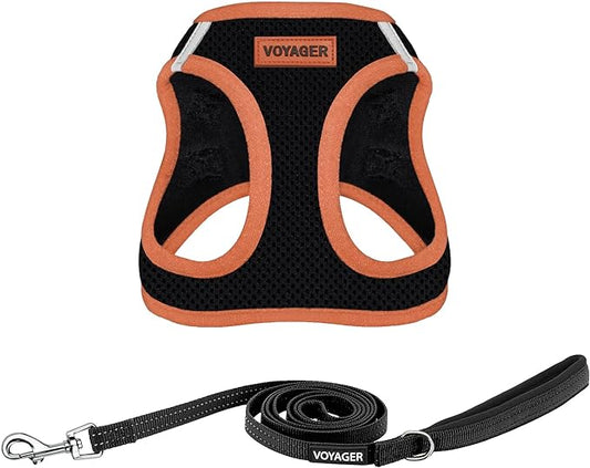 Voyager Step-in Air All Weather Mesh Harness and Reflective Dog 5 ft Leash Combo with Neoprene Handle, for Small, Medium and Large Breed Puppies by Best Pet Supplies - Black/Orange Trim, Large