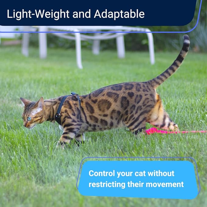 Houdini™ Escape Proof Kitten Harness and Leash Set by OutdoorBengal – Black, Small Cat Harness for Walking