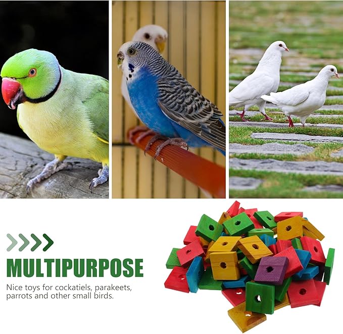 Parrot Toys 100 Pcs Wooden Blocks Bird Chewing Trim Beak Foot Craft Cage Part Mini Wood Chip Charms DIY Playing Chewing Shredding Mixed Large Bird Toys