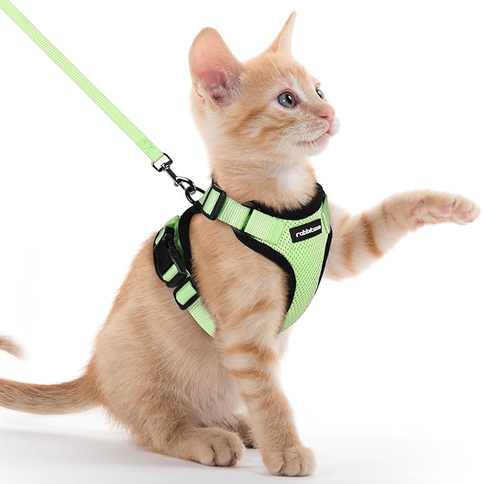 rabbitgoo Cat Harness and Leash for Walking, Escape Proof Soft Adjustable Vest Harnesses for Cats, Easy Control Breathable Reflective Strips Jacket, Light Green, XXS