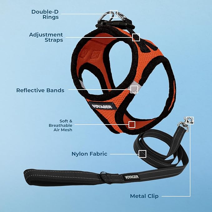 Voyager Step-in Air All Weather Mesh Harness and Reflective Dog 5 ft Leash Combo with Neoprene Handle, for Small, Medium and Large Breed Puppies by Best Pet Supplies - Orange/Black Trim, Large
