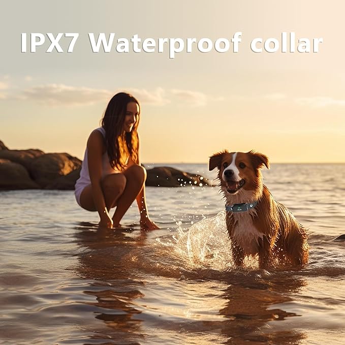 Wireless Dog Fence & Electronic Training Collar 2 in 1, 3500FT Wireless Fence, 6100FT Remote Training, IPX7 Waterproof Collar 185 Days Rechargeable Battery