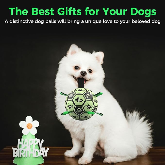 QDAN Premium Dog Ball, Glow in The Dark Dog Toys, Light Up Soccer Ball for Dogs, Outdoor Dog Toys, Doggy Water Toy, Puppy Birthday Gifts for Small Medium (6 Inch)