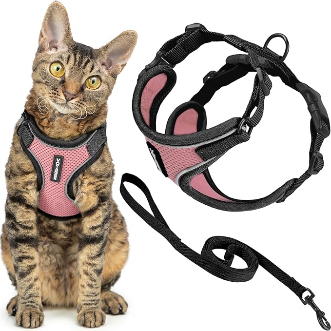 Voyager Escape Proof Cat Harness and Leash Set with Reflective Stitching, Neoprene Handle 5ft - Supports Small, Medium and Large Cats, Kittens for Walking by Best Pet Supplies - Black Trim-Pink, XXXS