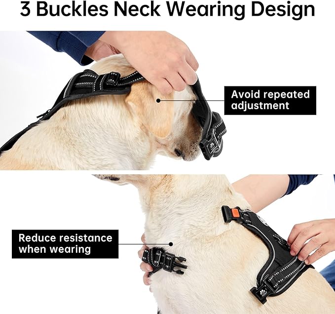 IVY&LANE No Pull Dog Harness for Large Dogs, Dog Vest Harness with Leash, Safety Belt and Storage Strap, Fully Adjustable Harness, 360° Reflective Strip, Soft Handle (Black, L)