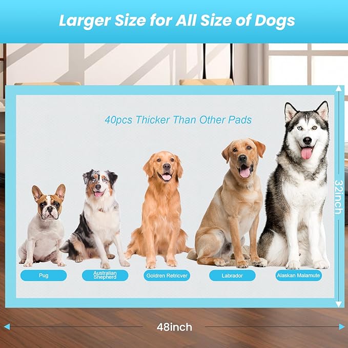 Puppy Pads Extra Large for Dogs 31"x47" 40 Count, Leak-Proof & Super Absorbent Dog Pee Pads, Thicken Disposable Potty Pads Puppy Training Pads for Cats Rabbits (40PCS)