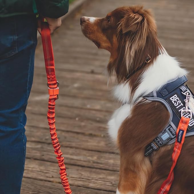 Auroth Tactical Dog Harness for Small Medium Dogs No Pull Adjustable Pet Harness Reflective K9 Working Training Easy Control Pet Vest Military Service Dog Harnesses Grey M