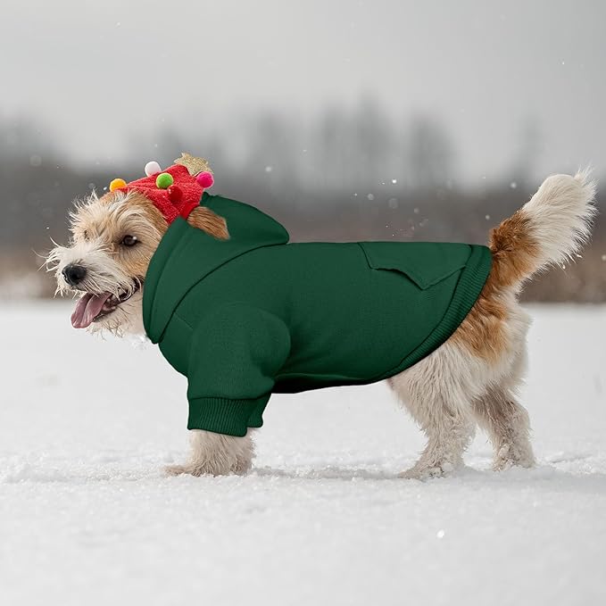 Dog Sweaters for Small Dogs Pet Sweater Solid Soft Brushed Fleece Dog Hoodie Clothes Pet Hoodie Sweatshirt with Pocket(Green-XS)