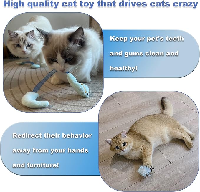 Cat Chew Toy for Teeth Cleaning, Soft and Durable Crinkle Springs Catnip Toys, Interactive Cat Kicker Toys for Indoor (Pack 10)
