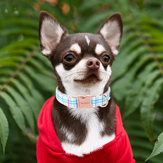 Unique style paws Dog Collar Metal Buckle Blue Pink Grid Collar Gift Durable Cute Collar for Small Medium Large Boys Girls Dogs