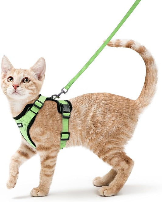rabbitgoo Cat Harness and Leash for Walking, Escape Proof Soft Adjustable Vest Harnesses for Cats, Easy Control Breathable Reflective Strips Jacket, Light Green, XS