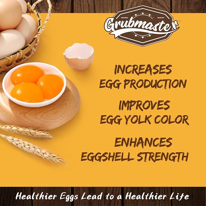 Dried Black Soldier Fly Larvae for Chickens, Natural Healthy Chicken Treats for Backyard Poultry - 2 lb. Bag