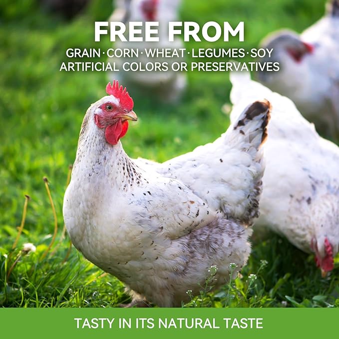 OPET Freeze Dried Cat Food, Chicken & Salmon Oil Recipe, Complete & Balanced Meal or Topper, Premium, Healthy, Grain Free, High Protein Raw Cat Freeze Dried Treats (10 oz, Chicken)