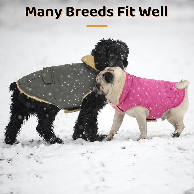 Queenmore Dog Winter Coat - Fleece Jacket, Waterproof Cold Weather Clothes, Thick Warm Cotton Padding, Easy On Storage Pockets (Pink, Medium)