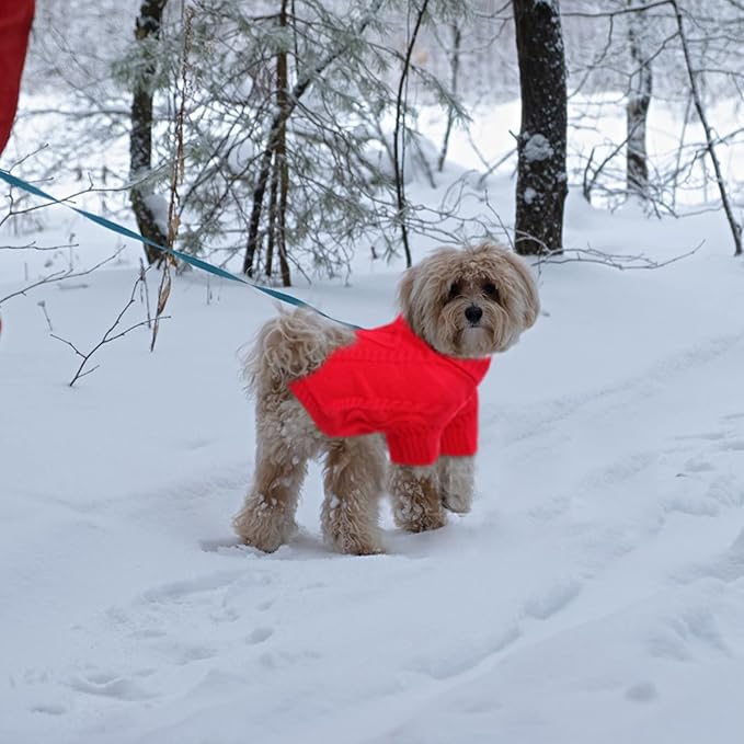 Queenmore Small Dog Pullover Sweater, Cold Weather Cable Knitwear, Classic Turtleneck Thick Warm Clothes for Chihuahua, Bulldog, Dachshund, Pug (Red, Large)