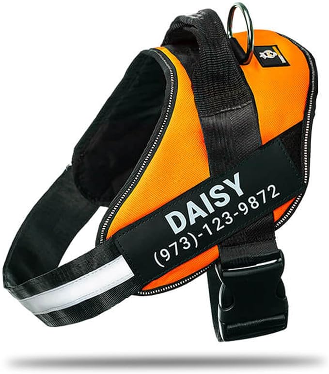 Personalized No-Pull Dog Harness with Name Patch, Adjustable, Reflective, Padded, Heavy Duty Pet Vest to Prevent Tugging, Pulling, or Choking, Training and Walking, Orange, S
