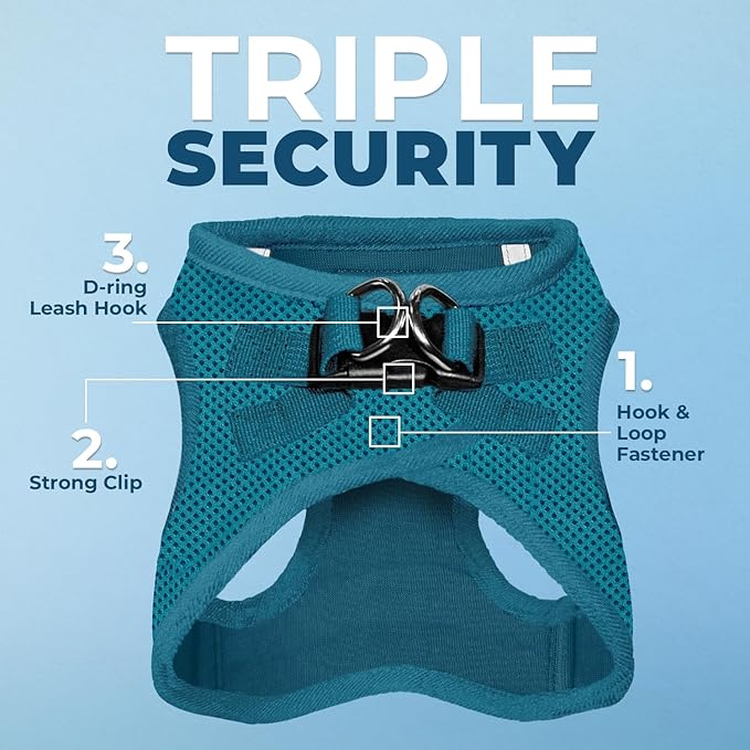 Voyager Step-in Air Cat Harness - All Weather Mesh Step in Vest Harness for Small and Medium Cats by Best Pet Supplies - Set (Turquoise), XXS
