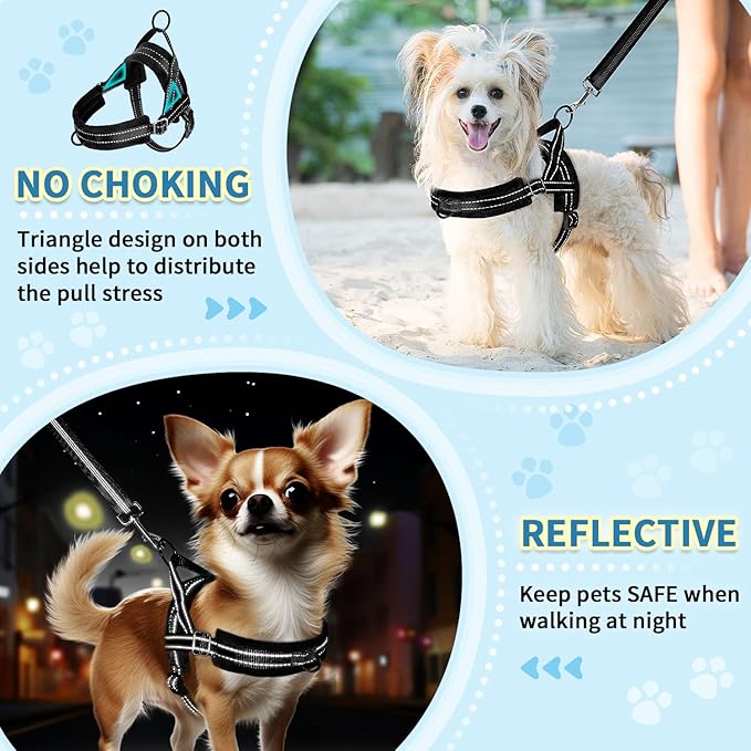 SlowTon No Pull Small Dog Harness and Leash Set, Puppy Soft Vest Harness Neck & Chest Adjustable, Reflective Lightweight Harness & Anti-Twist Pet Lead Combo for Small Medium Dogs (Black, XXS)