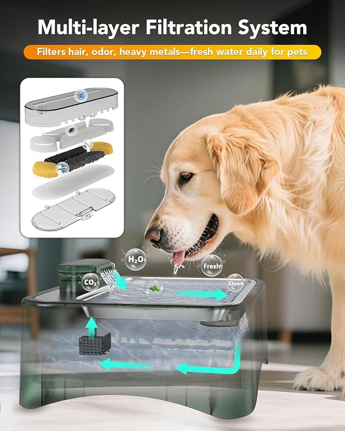 UPSKY 2.25Gal Elevated Dog Water Fountain, 4 Heights Adjustable Pet Fountain for All Dog Sizes, 304 Stainless Steel Tray Indoor Drinking Dispenser with Ultra-Quiet Pump & 4 Replacement Filters Green