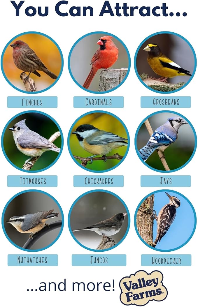 Valley Hearty Delight Wild Bird Food for Outside Feeders No-Mess Bird Seed w Sunflower Hearts & Peanuts no Filler Bird Seed Perfect for Patios 15 LBS