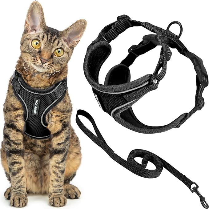 Voyager Escape Proof Cat Harness and Leash Set with Reflective Stitching, Neoprene Handle 5ft - Supports Small, Medium and Large Cats, Kittens for Walking by Best Pet Supplies - Black, S