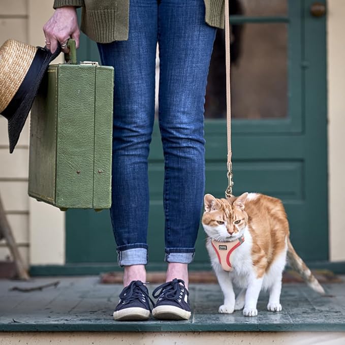 Cat Harness and Leash Set, Soft and Breathable Vest with Reflective Strip, Escape Proof Kitten Harness, Easy to Wear for Cats Walking and Traveling (Light Green, XXS)