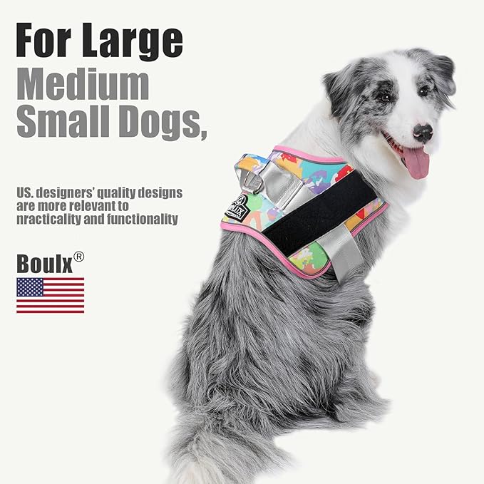 Bolux Dog Harness, No-Pull Reflective Dog Vest, Breathable Adjustable Pet Harness with Handle for Outdoor Walking - No More Pulling, Tugging or Choking (Medium (Pack of 1), OilPainting)