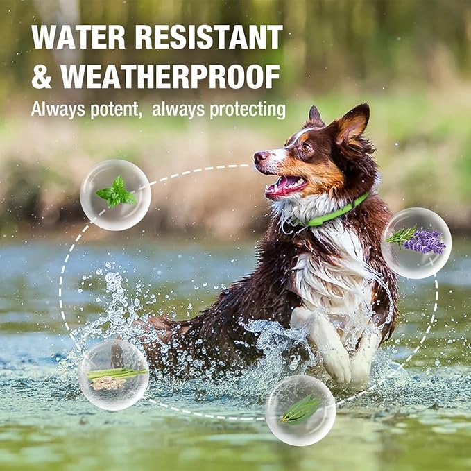 EcoVenger Flea & Tick Collar Repellent 2-Pack Green, Fits Both Dogs & Cats, Built-in Pant-Based Formula Strong Repellency Slow Release, Lasting Deterrence and Protection, Pleasant Aroma, Waterproof