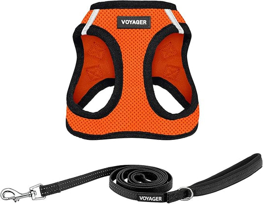 Voyager Step-in Air All Weather Mesh Harness and Reflective Dog 5 ft Leash Combo with Neoprene Handle, for Small, Medium and Large Breed Puppies by Best Pet Supplies - Orange/Black Trim, Medium