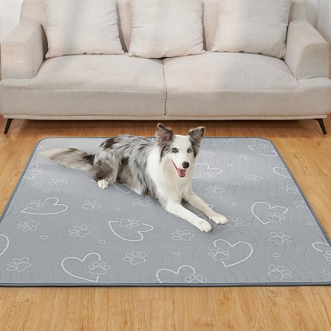 Washable Pee Pads for Dogs Reusable: 2 Pack Waterproof Puppy Pads Absorbent Training Pad - Non-Slip Puppy Whelping Mats for Grate, Floor, Housebreak, Couch 36"x41"