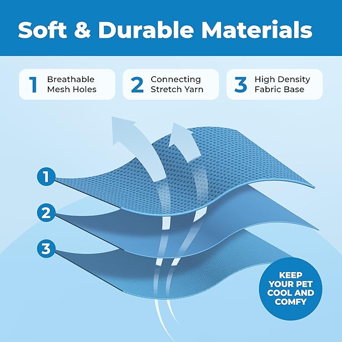 Voyager Escape Proof Cat Harness and Leash Set with Reflective Stitching, Neoprene Handle 5ft - Supports Small, Medium and Large Cats, Kittens for Walking by Best Pet Supplies - Baby Blue, XS