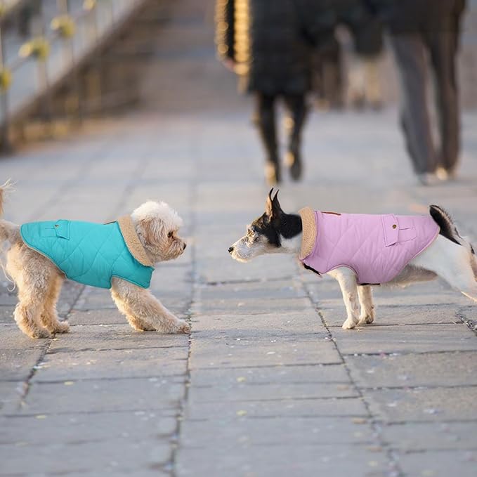 Dog Winter Coat for Small Dogs, Puppy Solid Jacket, Pet Warm Coat for Cold Weather, Windproof Pets Thickened Outfits Garments Indoor Outdoor, Blue XS