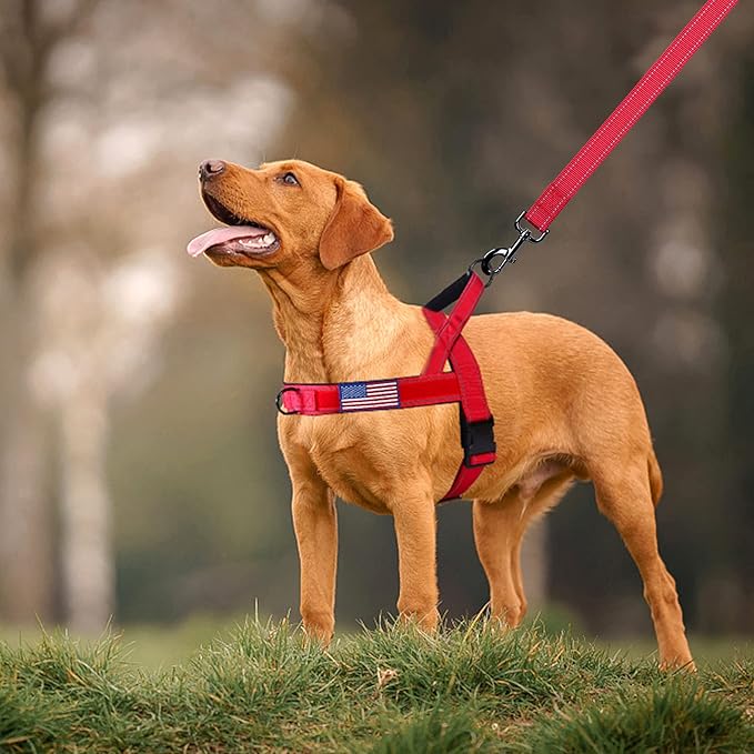 Annchwool No Pull Dog Harness with Padded Handle+5 Ft Leash,Reflective Strip Escape Proof and Quick Fit to Adjust Dog Harness,Easy for Training Walking for Small & Medium and Large Dog(Red-Set,M)