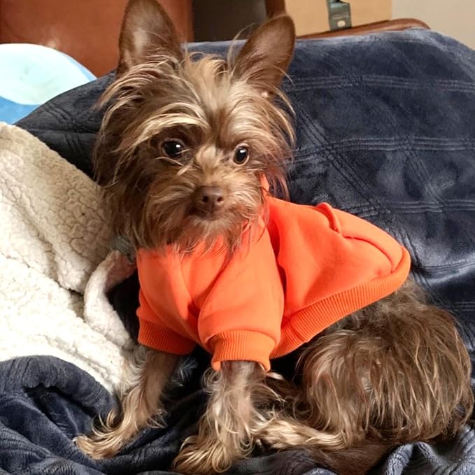 Jecikelon Winter Dog Hoodie Sweatshirts with Pockets Warm Dog Clothes for Small Dogs Chihuahua Coat Clothing Puppy Cat Custume (Orange, Large)