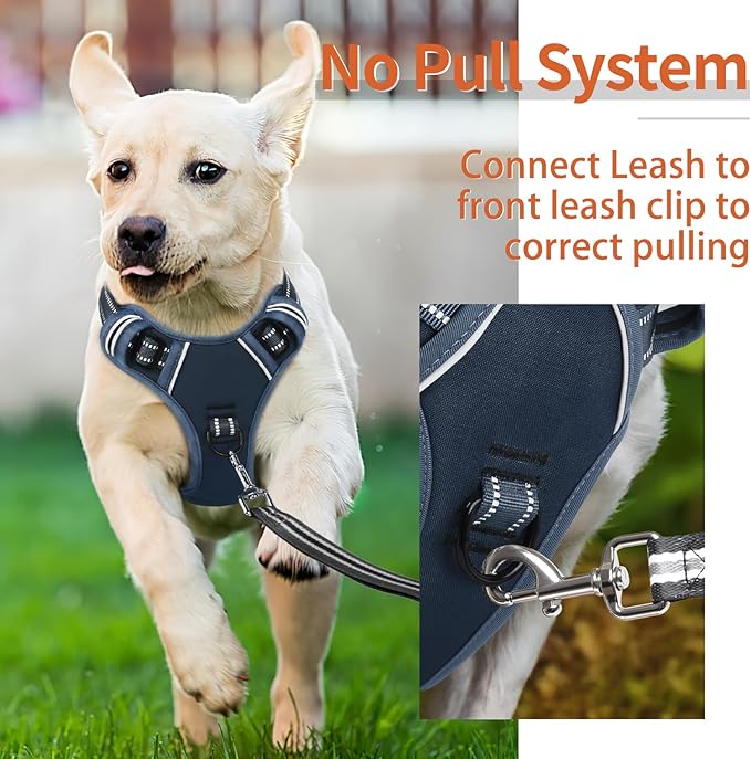 HEELE Dog Harness for Medium Dogs No Pull Dog Vest Harness with Soft Padded Handle Reflective for Outdoor Training, Royal Blue, M