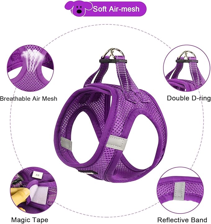 YIMEIS Dog Harness and Leash Set, No Pull Soft Mesh Pet Harness, Reflective Adjustable Puppy Vest for Small Medium Large Dogs, Cats (Purple, Small (Pack of 1)