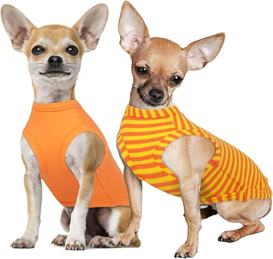 IECOii 2 Pack Dog T-Shirt for Small Dogs | Breathable Stretch Fit for Summer, UV Sun Protection for Chihuahua & Cats, Orange+Stripes,M