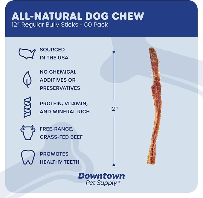 Downtown Pet Supply USA-Made Bully Sticks for Dogs (12", 50-Pack Regular) Rawhide Free Dog Chews Long Lasting Non-Splintering Pizzle Sticks - Low Odor Bully Sticks for Large Dogs