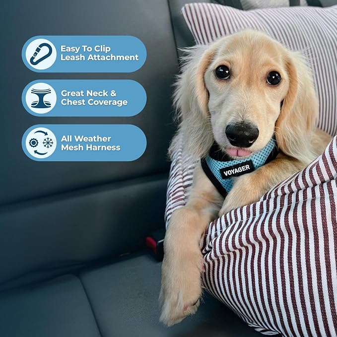 Voyager Step-in Air All Weather Mesh Harness and Reflective Dog 5 ft Leash Combo with Neoprene Handle, for Small, Medium and Large Breed Puppies by Best Pet Supplies - Baby Blue/Black Trim, X-Small